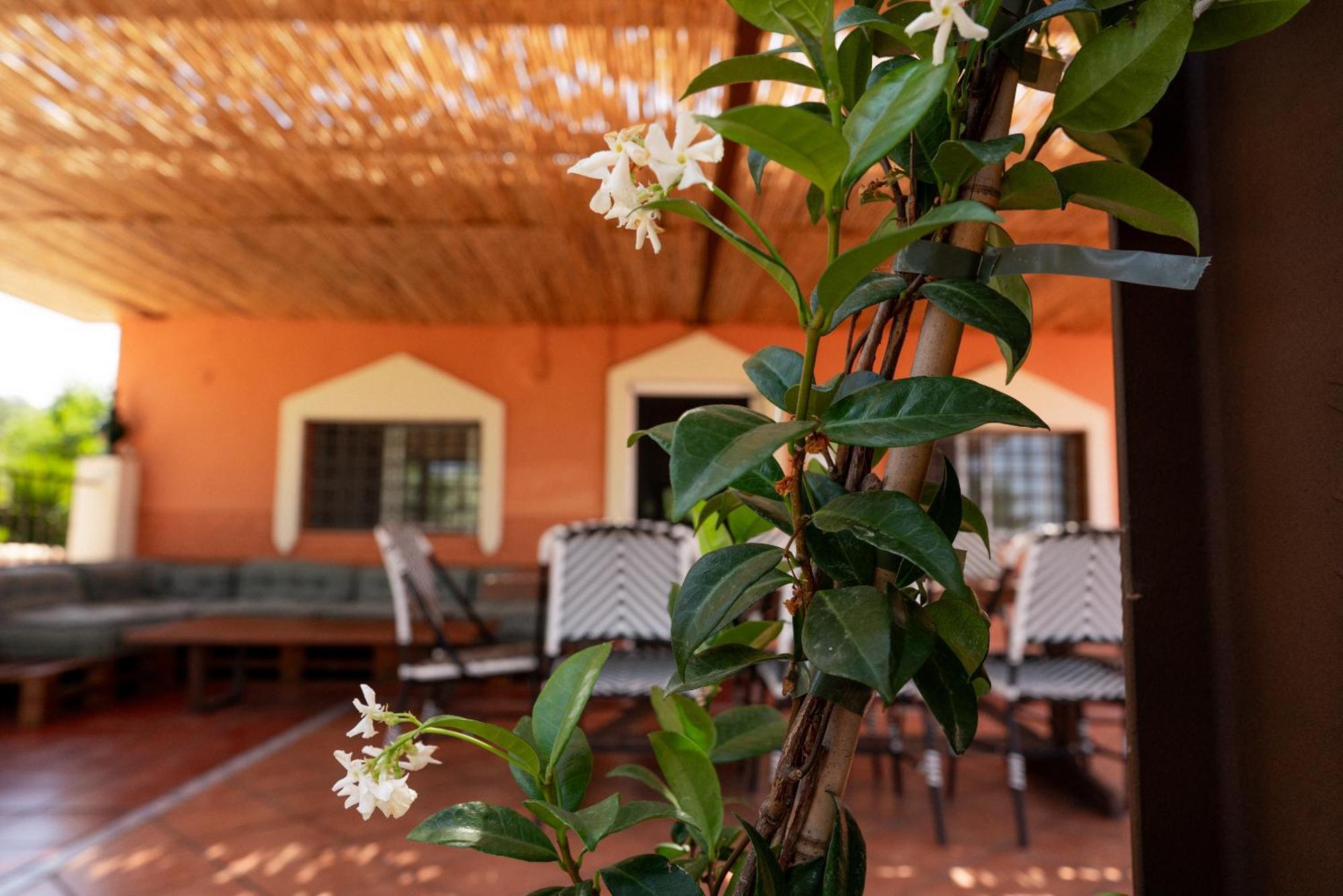 Vila Origen Andevalo Calanas Exteriér fotografie