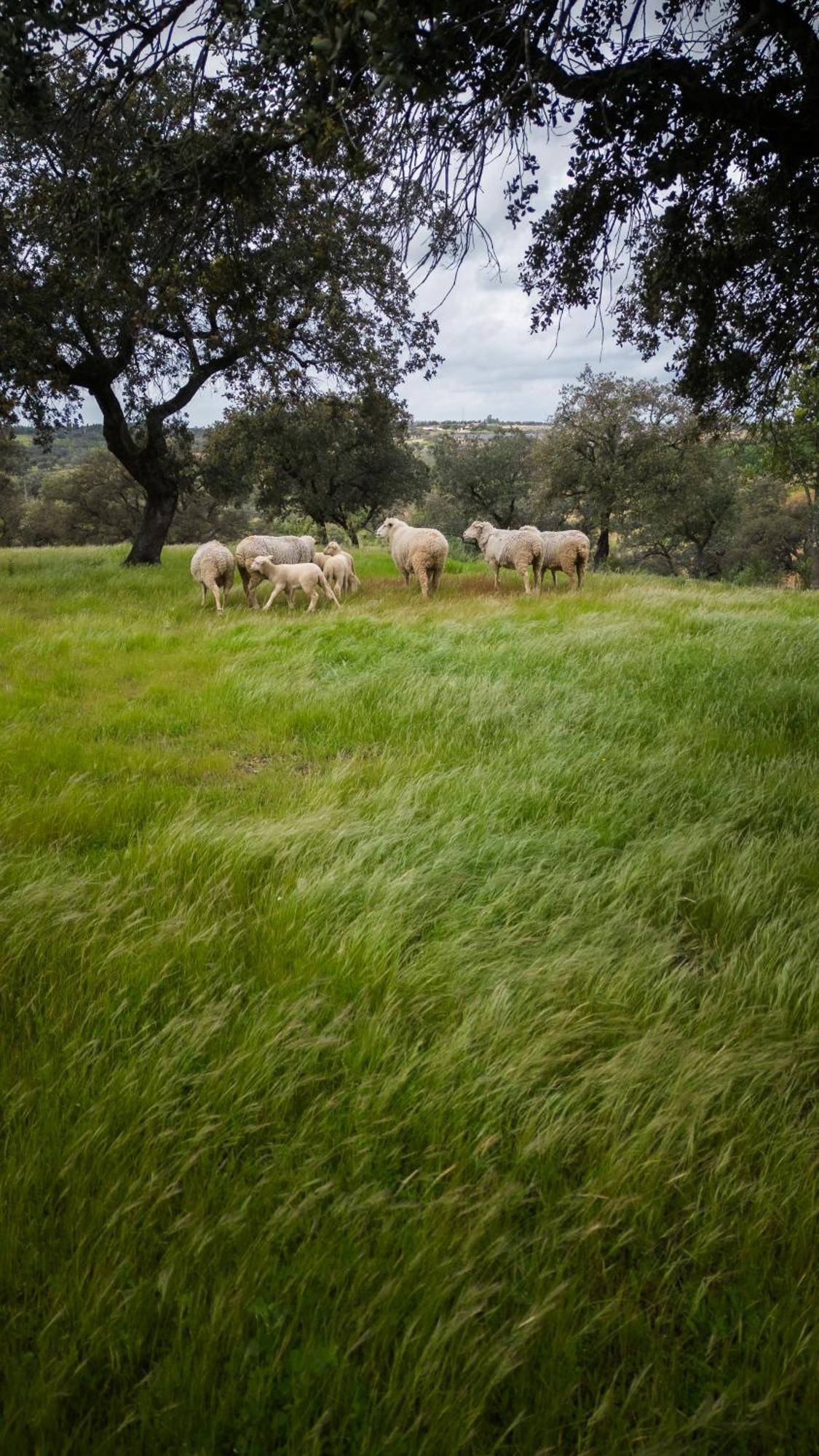 Vila Origen Andevalo Calanas Exteriér fotografie